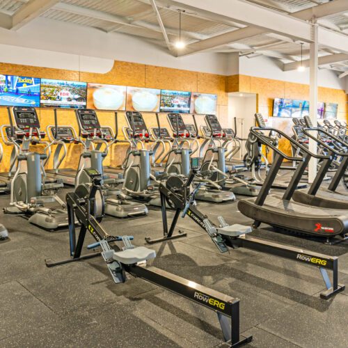 Revo Scarborough 9 - Project